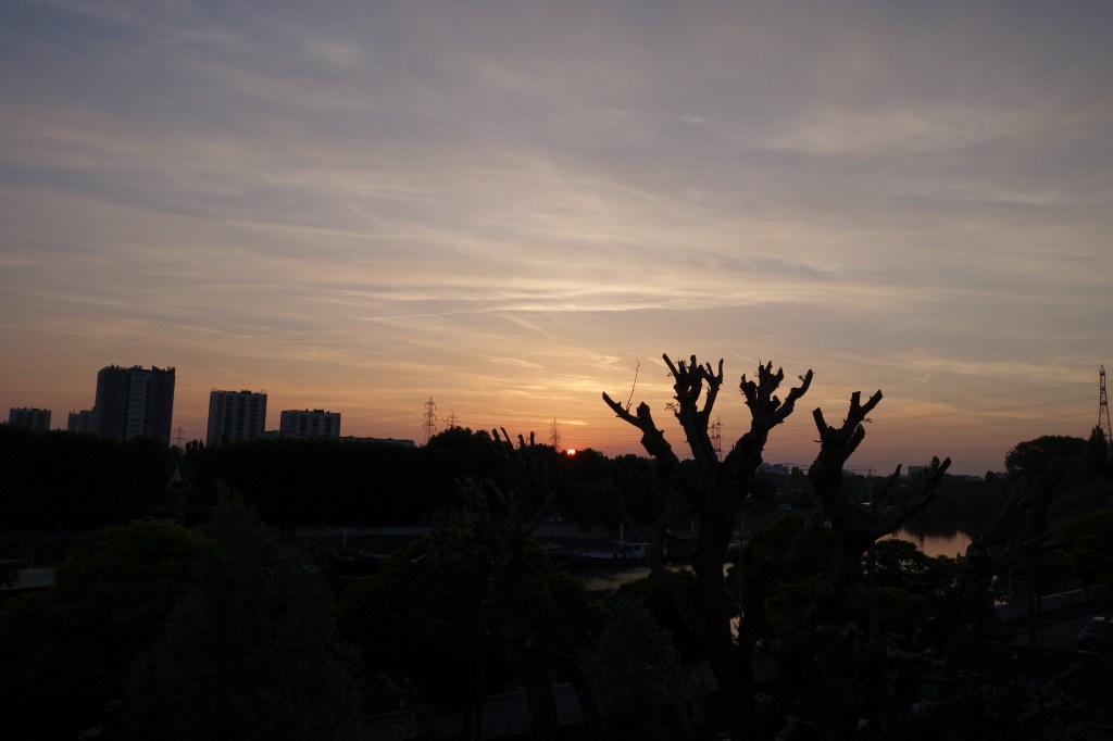DSC00349